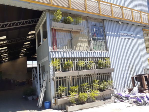Remodelación - Imagen 6